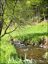 Breitenbach in Thüringen